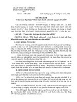 Chiến dịch thanh niên tình nguyện hè 2011