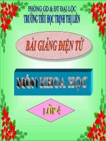 Trao đổi chất ở thực vật