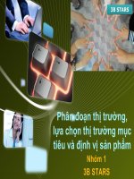 Phân đoạn thị trường, lựa chọn thị trường mục tiêu và định vị sản phẩm