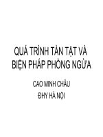 Quá trình tàn tật và phòng ngừa