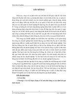 Kế toán bán hàng và xác định kết quả kinh doanh tại công ty cổ phần sản xuất thương mại và dịch vụ tổng hợp long khánh 