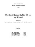 Phân tích tình hình tài chính của CTCP thang máy thiên nam – chi nhánh hà nội 
