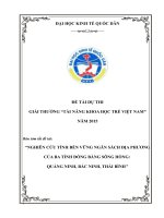 Nghiên cứu tính bền vững ngân sách địa phương của ba tỉnh đồng bằng sông Hồng: Quảng Ninh, Bắc Ninh, Thái Bình