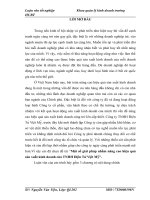 Một số giải pháp nhằm nâng cao hiệu quả sản xuất kinh doanh của TNHH điện tử việt mỹ 