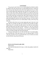 Xây dựng giá thành kế họach sản phẩm Bình Bơm trừ sâu