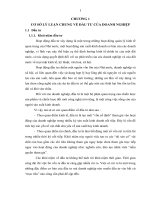 PHÂN TÍCH dự án đầu tư MUA sắm máy móc THIẾT bị của CÔNG TY cổ PHẦN cầu 7 THĂNG LONG 