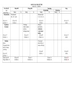 ma trận đề thi kỳ 2 lớp 11