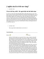 LK  Y nghia la co do sao vang