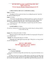 Đề thi thử Đại học(2010 2011) (Có đáp án chi tiết)