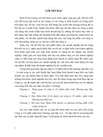 Đặc điểm kinh tế kỹ thuật của công ty cổ phần  phát triển thương mại bẩy lợi 