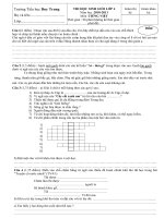 Đề HSG Tiếng Việt lớp 4