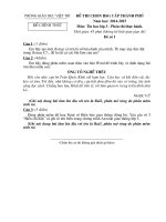 BỘ đề THI HSG cấp THÀNH PHỐ môn TIN học lớp 3 4 5