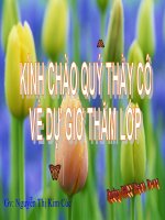 bai quyen và nghia vu lao dong cua cong dan