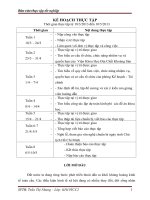 Công tác lập dự toán đề án nghiên cứu tiềm năng, giá trị sử dụng của khoáng sản sericit trong các thành tạo biến chất neoproteroozi   paleoozoi hạ và phun trào jura   creta tây bắc việt nam  