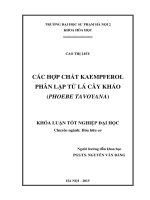 Các hợp chất kaempferol phân lập từ lá cây kháo (phoebe tavoyana)