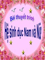 tiểu luận  HỆ SINH DỤC NAM   NỮ