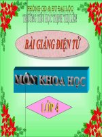 Sơ đồ vòng tuần hoàn của nước trong tự nhiên