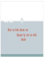 Rủi ro hối đoái và quản lý rủi ro hối đoái