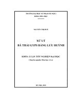 Khoá luận tốt nghiệp xử lý bã thải GYPS bằng lưu huỳnh