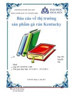 Báo cáo về thị trường sản phẩm gà rán kentucky 