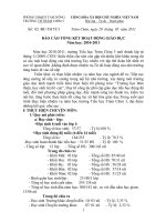 Báo cáo Tổng kết NH 2010 2011