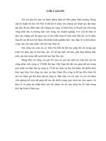 Kế toán bán hàng và xác định kết quả bán hàng tại công ty TNHH ba sao việt nam 