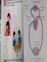 Bài 7: Hoạt động tuần hoàn