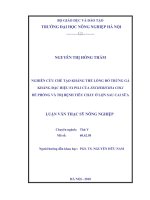 nghiên cứu chế tạo kháng thể lòng đỏ trứng gà kháng đặc hiệu f4 pili của escherichia coli để phòng và trị bệnh tiêu chảy ở lợn sau cai sữa