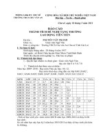 BÁOCÁO THÀNH TÍCH ĐỀ NGHỊ TẶNG THƯỞNG  NĂM 2011 ( MẪU MỚI )