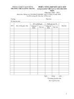 Mẫu chuẩn nghề nghiệp do tổ trưởng tổng hợp