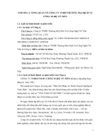 Giải pháp và kiến nghị về tình hình tài chính tại công ty TNHH thương mại dịch vụ công nghệ vũ tiến 