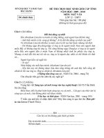 Lekhanh(De va Dap an HSG Van 2010.Bac Giang)