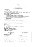 Giáo án lớp 3 ( Học kỳ 1)