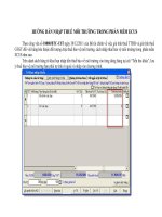 Hướng dẫn nhập thuế môi trường trong phần mềm ecus 