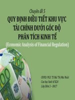 Bài thuyết trình quy định điều tiết khu vực tài chính dưới góc độ phân tích kinh tế