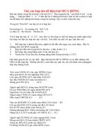 Tự đệm bài Mưa hồng   Trịnh Công Sơn