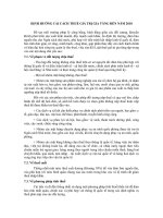 định hướng cải cách thuế giá trị gia tăng 