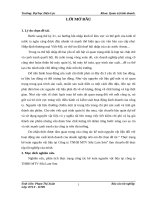 Nghiên cứu, phân tích thực trạng công tác kế toán nguyên vật liệu tại công ty THHH MTV sữa lam sơn 