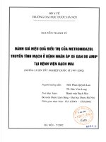 đánh giá hiệu quả điêu trị của metronidazol truyền tĩnh mạch ở bệnh nhân áp xe gan do amip tại bệnh viện bạch mai