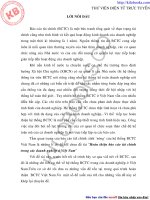 Hoàn thiện báo cáo tài chính trong các doanh nghiệp ở việt nam 