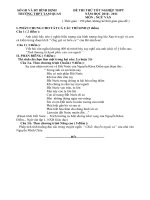 Đề thi thử văn 12