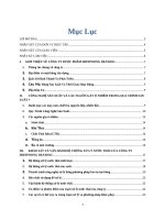 báo cáo thực tập tại công ty TNHH dược phẩm shinpoong deawoo