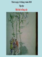 TAP DOC BAI HAT TRONG CAY