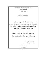 Khoá luận tốt nghiệp tổng hợp và ứng dụng nano hydrotalcite mang ức chế ăn mòn thân thiện môi trường trong lớp phủ hữu cơ