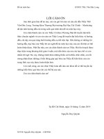 thực trạng và giải pháp đẩy mạnh xuất khẩu thép vào thị trường thái lan