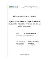Một số giải pháp hoàn thiện chiến lược marketing cho công ty tnhh xd – tm an xuân thịnh (AXT)