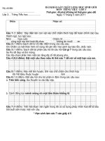 ĐỀ THI HSG LỚP 3 MÔN TIẾNG VIỆT CẤP TRƯỜNG