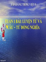 Bài giảng tiếng việt 5 tuần 1 bài luyện từ và câu   từ đồng nghĩa 