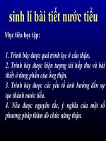 Bài giảng sinh lý bài tiết nước tiểu