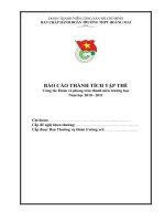 Mẫu báo cáo thành tích tập thể